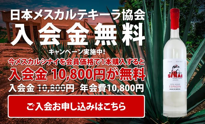 入会金無料キャンペーン実施中
